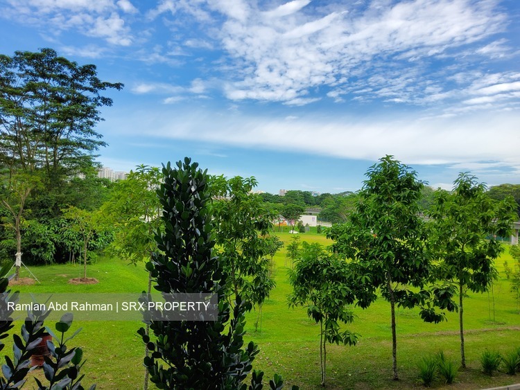 Blk 812B Choa Chu Kang Avenue 7 (Choa Chu Kang), HDB 4 Rooms #317441371
